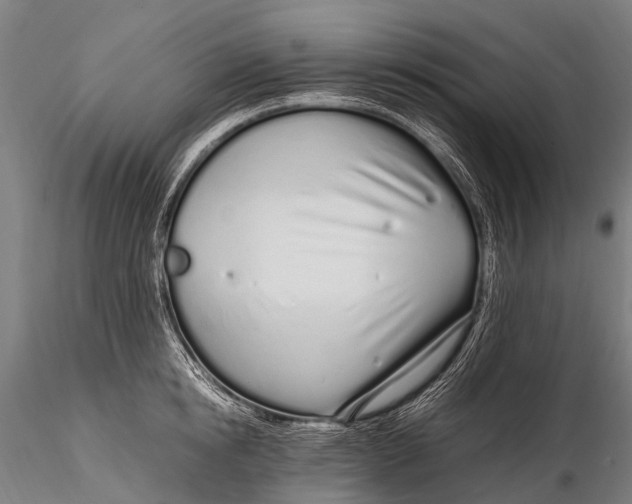 X0000115620854200912011613