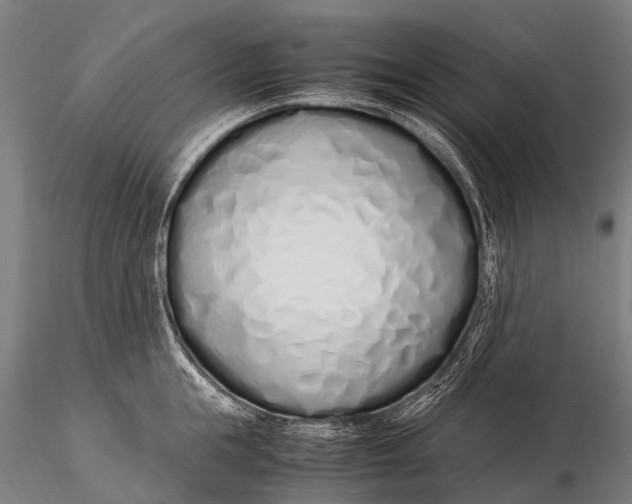 X0000115620855200912011613