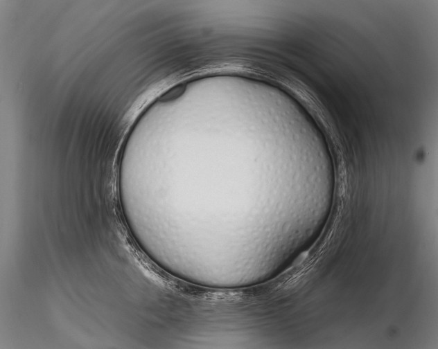 X0000115620858200912011613