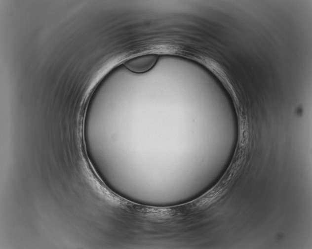 X0000115620859200912011613