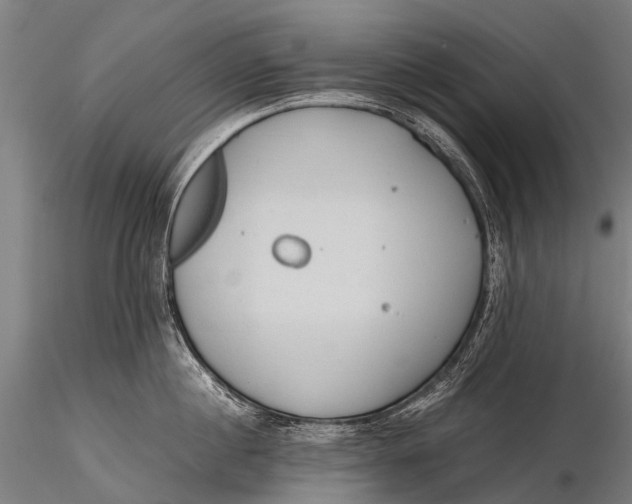 X0000115620860200912011613