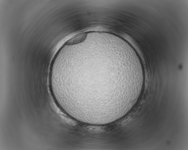 X0000115620861200912011613