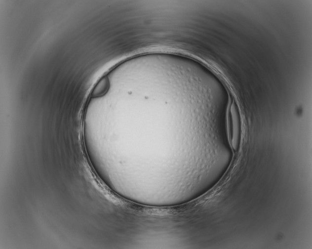 X0000115620862200912011613