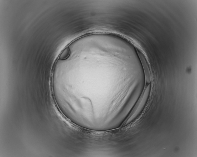 X0000115620863200912011613