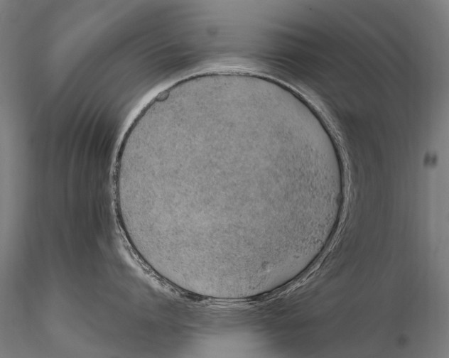 X0000115620864200912011613