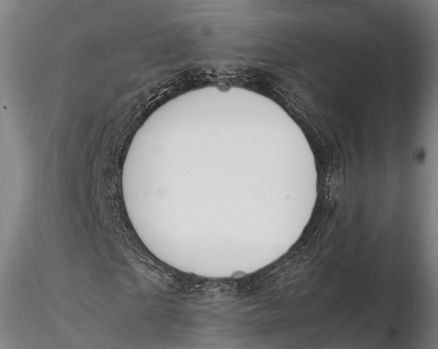 X0000115620865200912011612