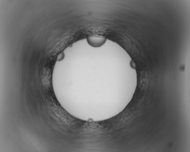 X0000115620866200912011612