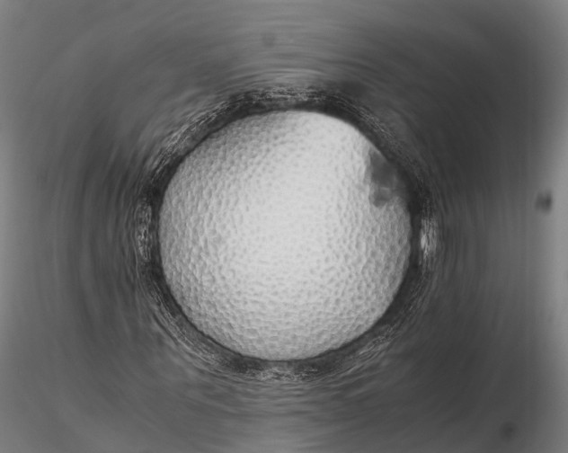 X0000115620867200912011612