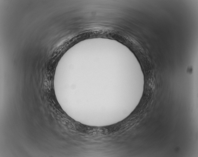 X0000115620869200912011612