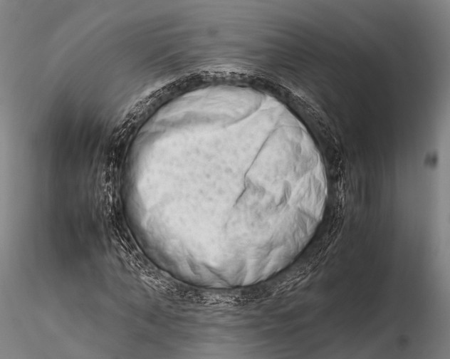 X0000115620870200912011612