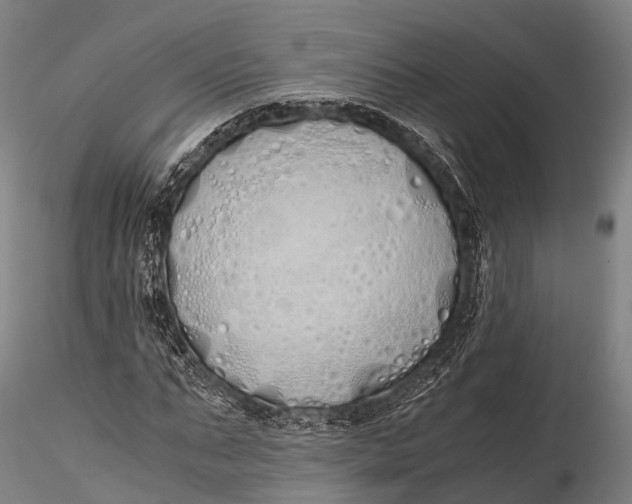 X0000115620871200912011612