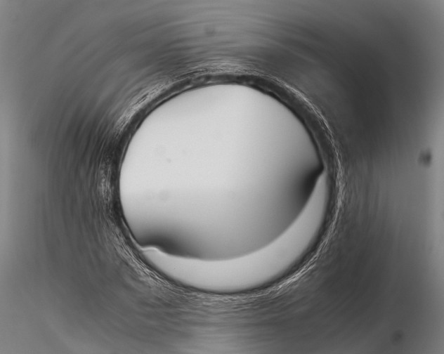 X0000115620873200912011612