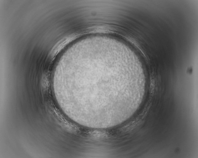 X0000115620874200912011612