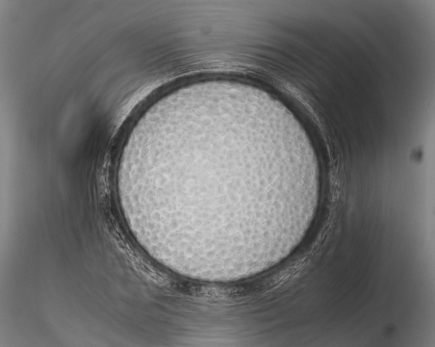 X0000115620875200912011612