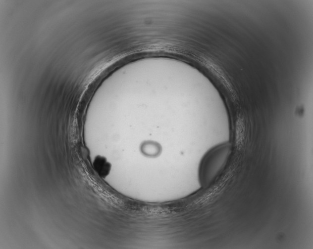 X0000115620876200912011612