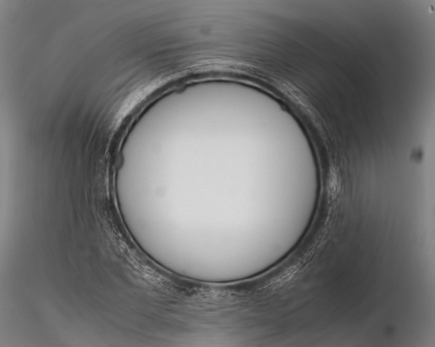 X0000115620877200912011612