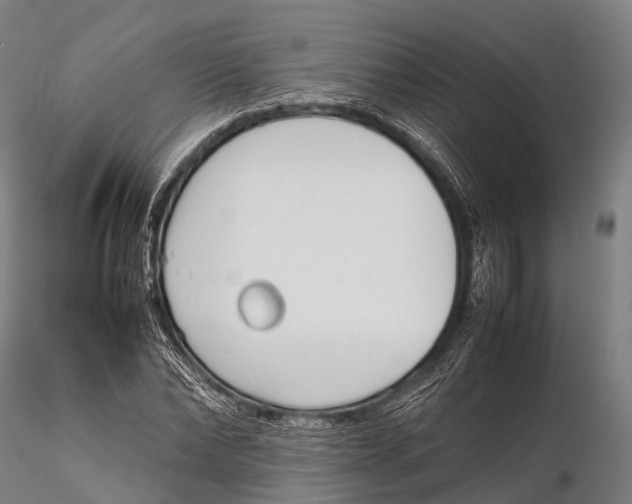 X0000115620878200912011612