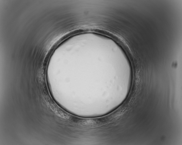 X0000115620879200912011612