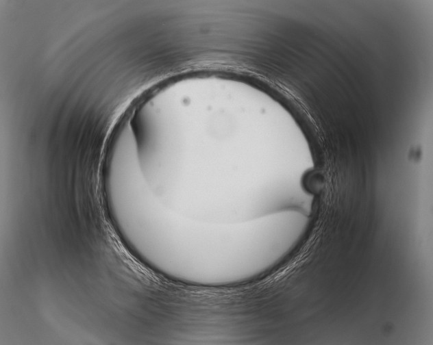 X0000115620880200912011612