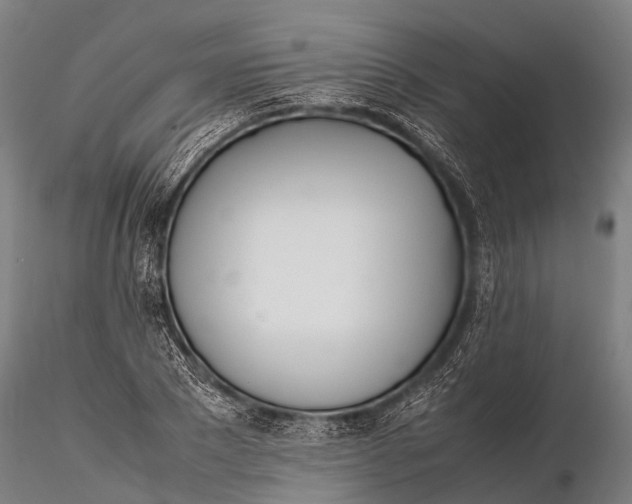 X0000115620881200912011612