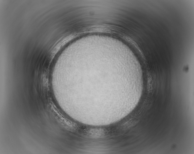 X0000115620882200912011612