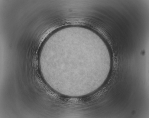 X0000115620883200912011612