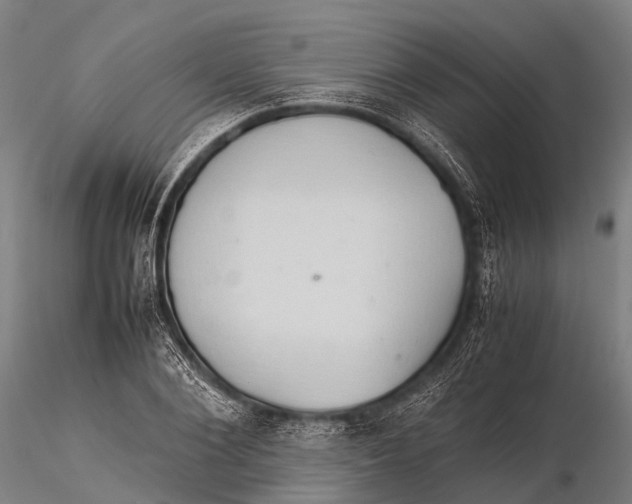 X0000115620884200912011612