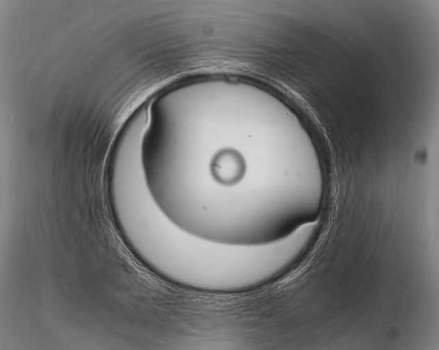 X0000115620885200912011612