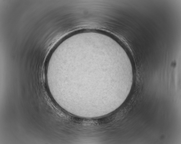 X0000115620887200912011612