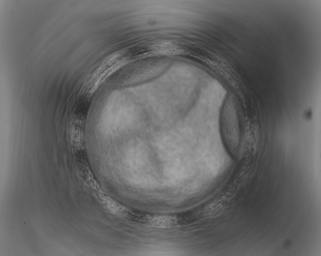 X0000115620889200912011612