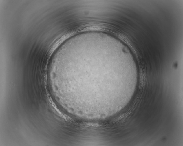 X0000115620890200912011612