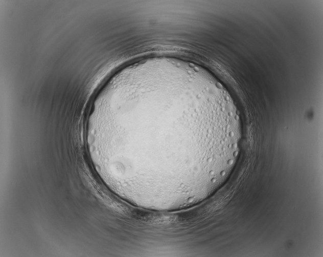 X0000115620891200912011612