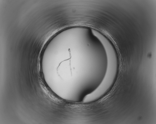 X0000115620892200912011612