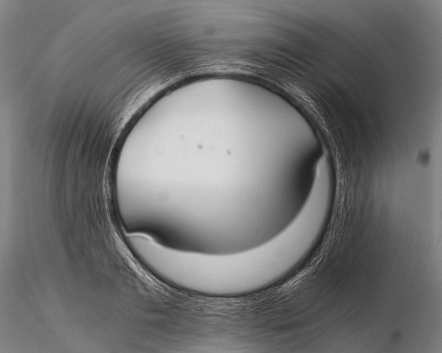 X0000115620893200912011612