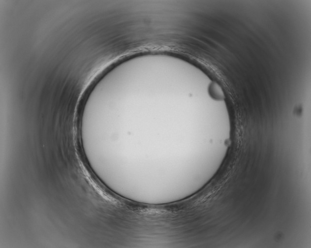 X0000115620894200912011612