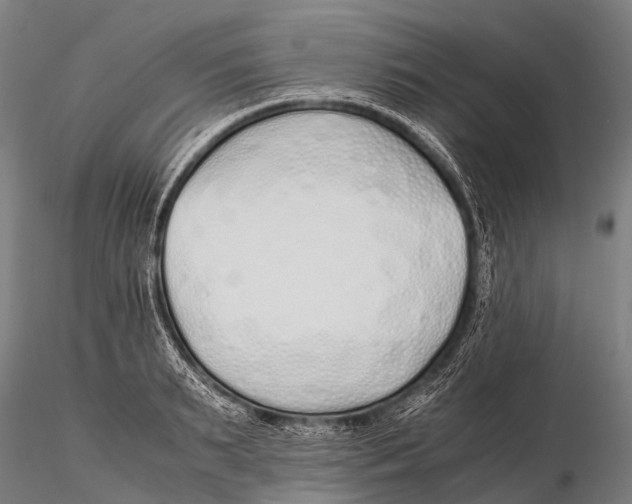 X0000115620895200912011612