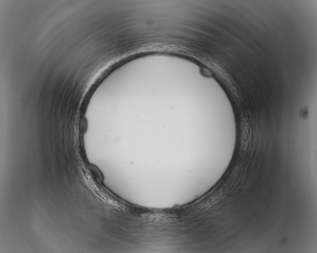 X0000115620896200912011612