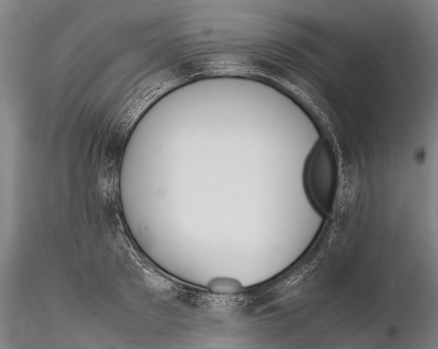 X0000115620897200912011612