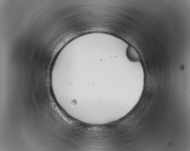 X0000115620898200912011612