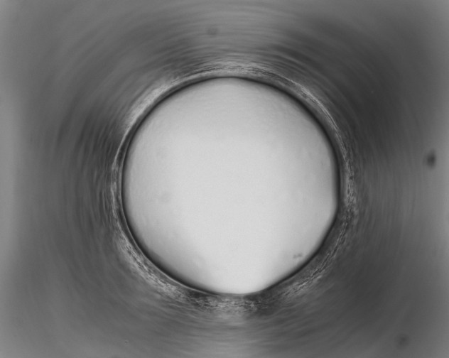 X0000115620899200912011612