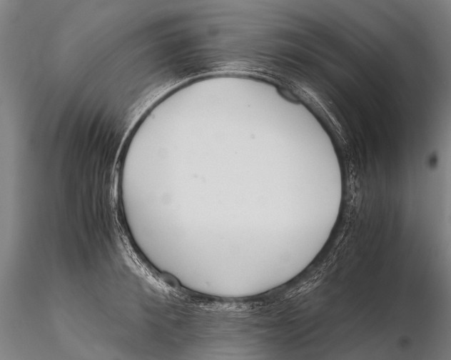 X0000115620900200912011612