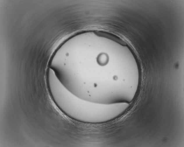 X0000115620901200912011612