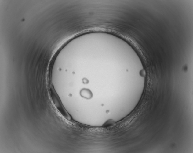 X0000115620902200912011612