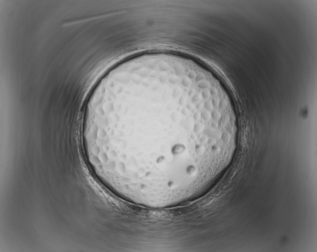 X0000115620903200912011612