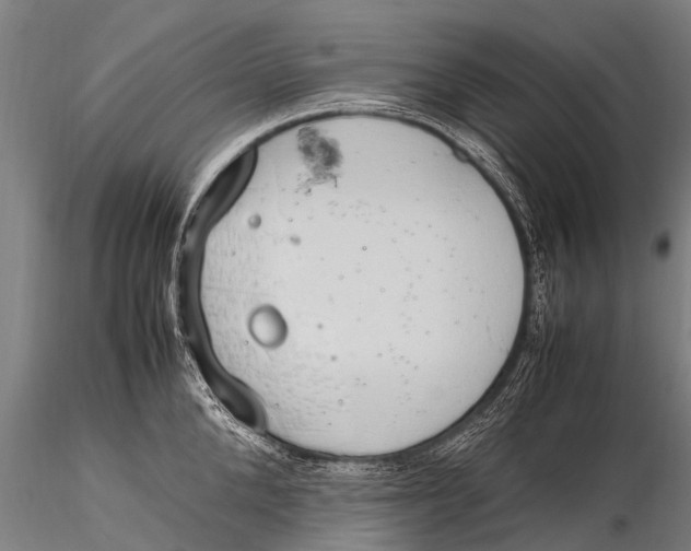 X0000115620904200912011612