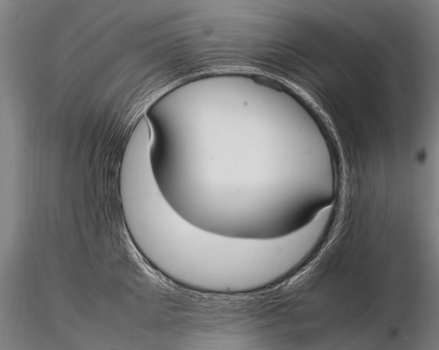 X0000115620905200912011611