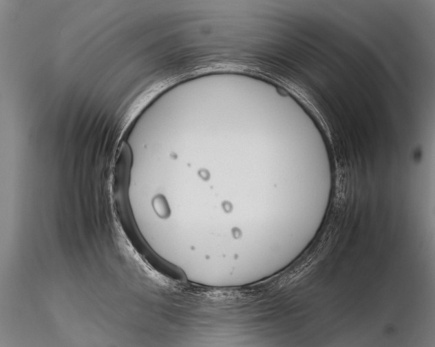 X0000115620906200912011611