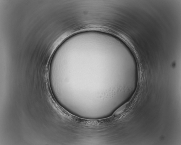 X0000115620907200912011611