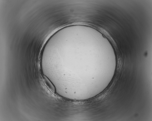 X0000115620908200912011611