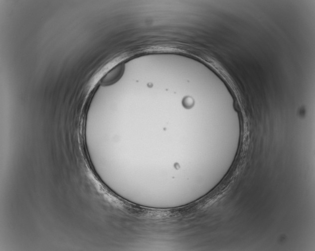 X0000115620909200912011611